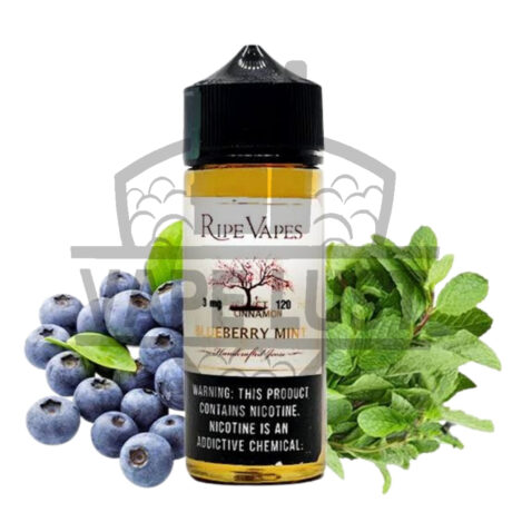 ripevapes blueberry mint 0mg 100ml